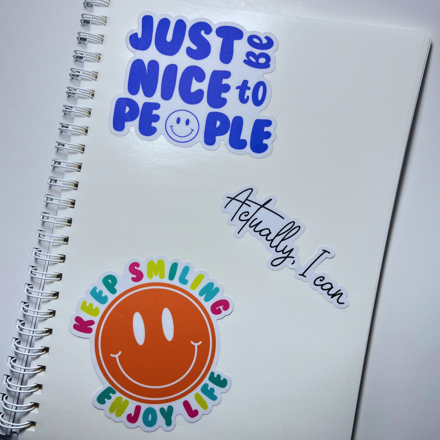 Reusable Sticker Book